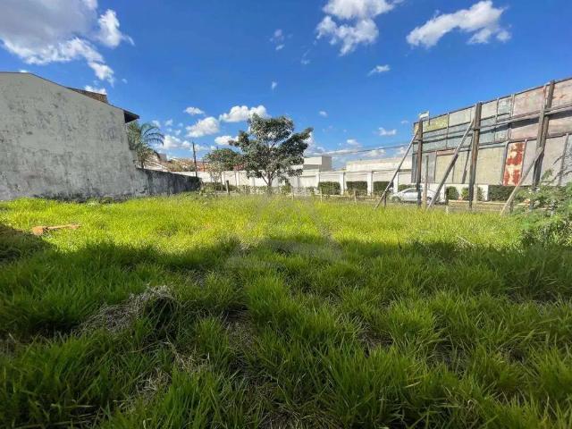 Terreno comercial para Locação em Campinas/SP Parque Taquaral