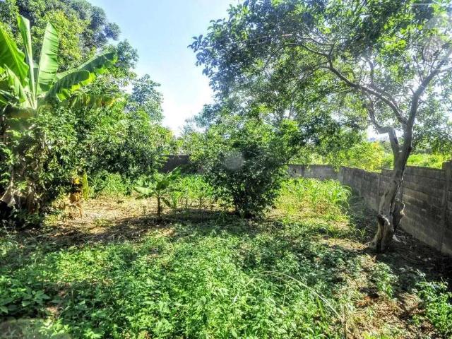Terreno comercial para Locação em Campinas/SP Parque Rural Fazenda Santa Cândida