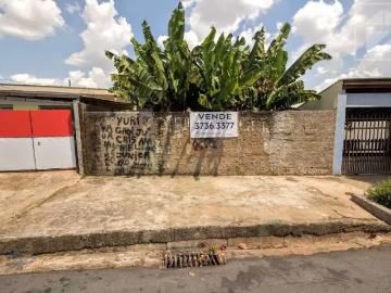 Terreno comercial para Locação em Campinas/SP Vila Industrial