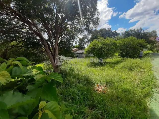 Terreno comercial para Locação em Campinas/SP Vila Marieta