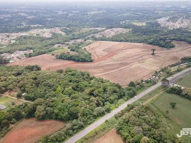 Terreno comercial para Locação em Campo Largo/PR Ratada