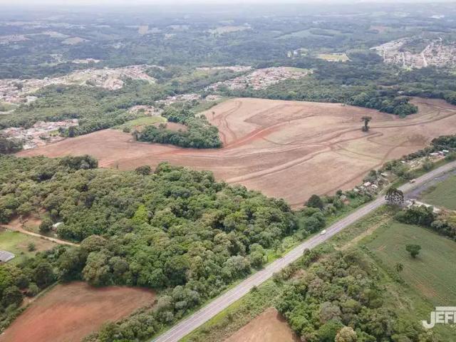 Terreno comercial para Locação em Campo Largo/PR Ratada