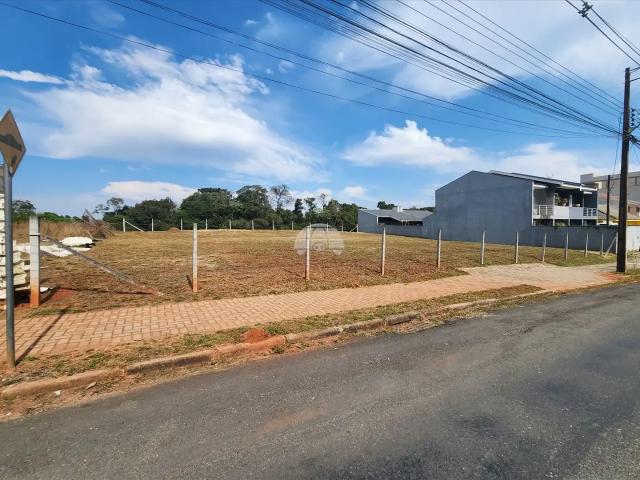 Terreno comercial para Locação em Campo Largo/PR Vila Ferrari