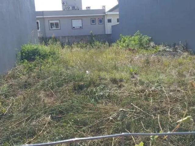 Terreno comercial para Locação em Canoas/RS Estância Velha