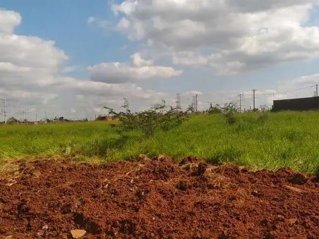 Terreno comercial para Locação em Canoas/RS Guajuviras