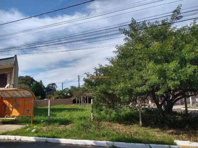 Terreno comercial para Locação em Canoas/RS Harmonia