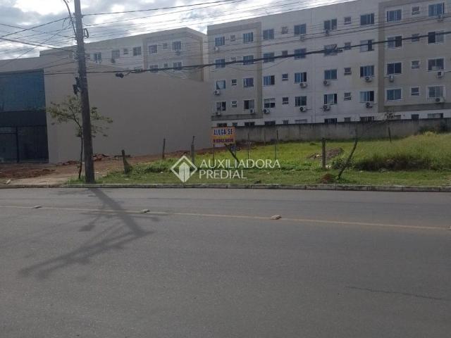 Terreno comercial para Locação em Canoas/RS Igara