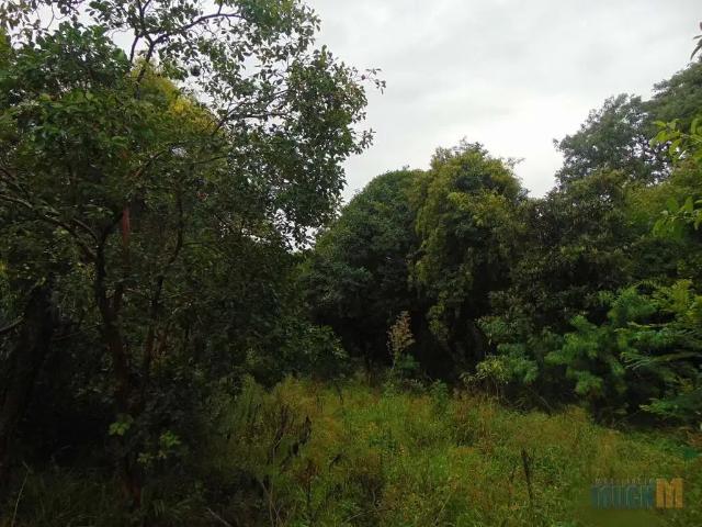 Terreno comercial para Locação em Canoas/RS Marechal Rondon