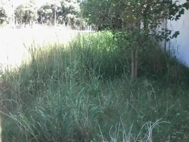 Terreno comercial para Locação em Canoas/RS Niterói