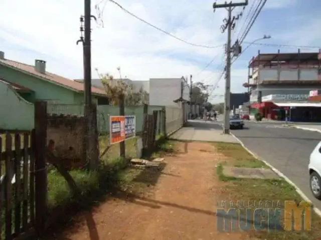 Terreno comercial para Locação em Canoas/RS Niterói