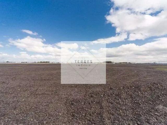 Terreno comercial para Locação em Canoas/RS São Luis