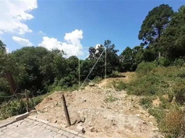 Terreno comercial para Locação em Caxias do Sul/RS Cidade Nova
