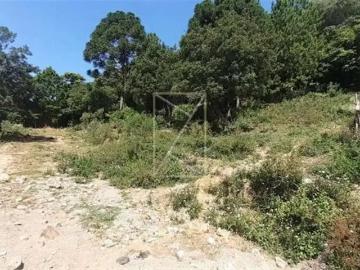 Terreno comercial para Locação em Caxias do Sul/RS Cidade Nova