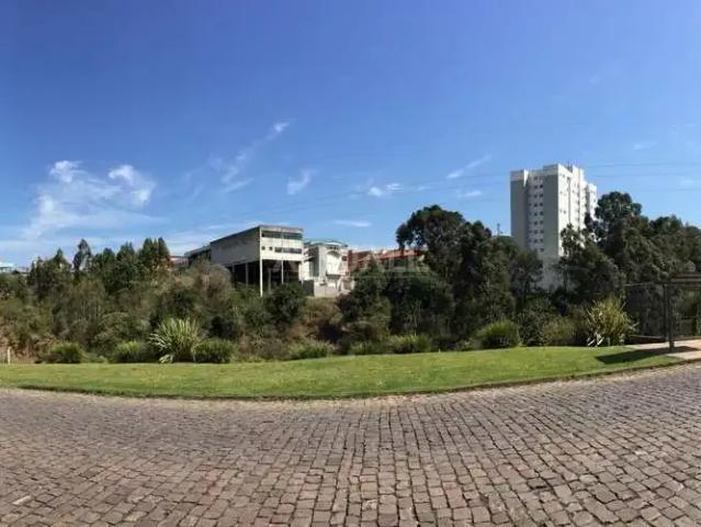Terreno comercial para Locação em Caxias do Sul/RS Cinqüentenário