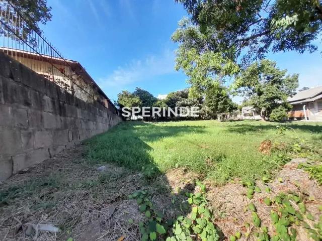 Terreno comercial para Locação em Caxias do Sul/RS São Leopoldo