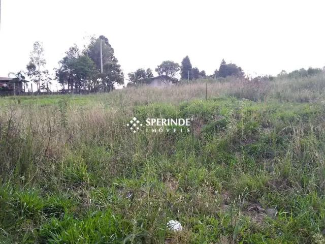 Terreno comercial para Locação em Caxias do Sul/RS São Victor COHAB
