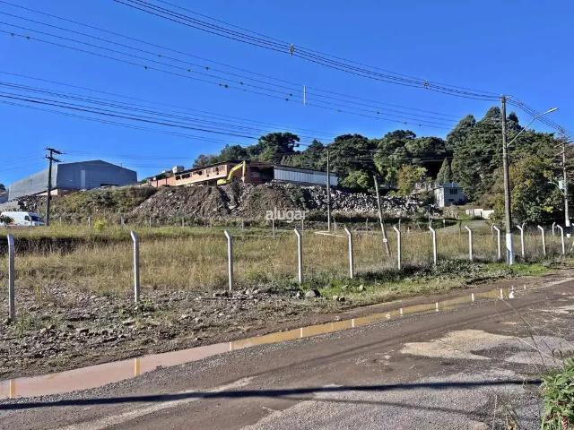 Terreno comercial para Locação em Caxias do Sul/RS Planalto