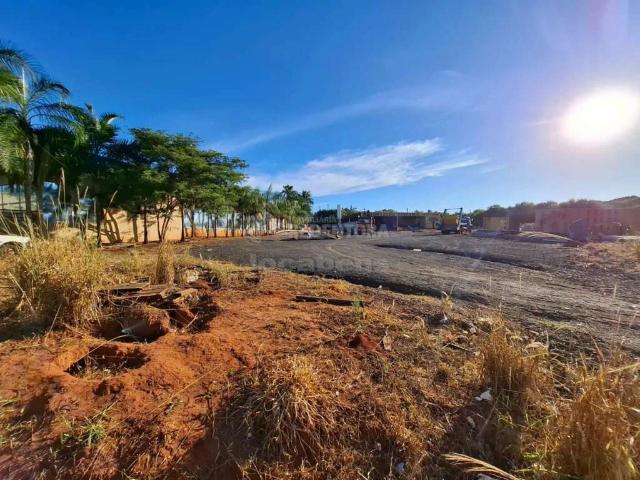 Terreno comercial para Locação em Cedral/SP Área Rural de Cedral