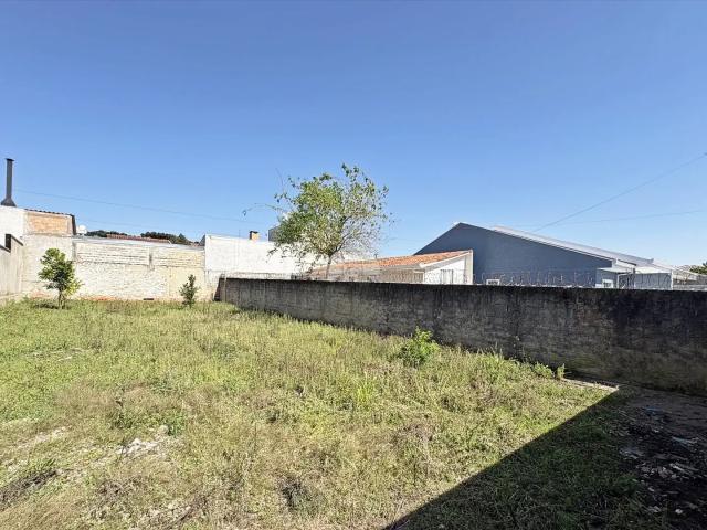 Terreno comercial para Locação em Colombo/PR Palmital