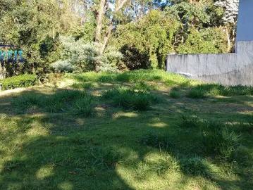 Terreno comercial para Locação em Cotia/SP Granja Viana