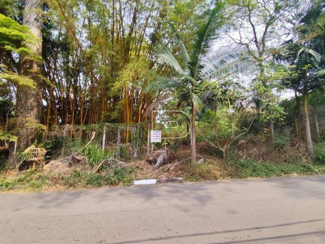 Terreno comercial para Locação em Cotia/SP Granja Viana