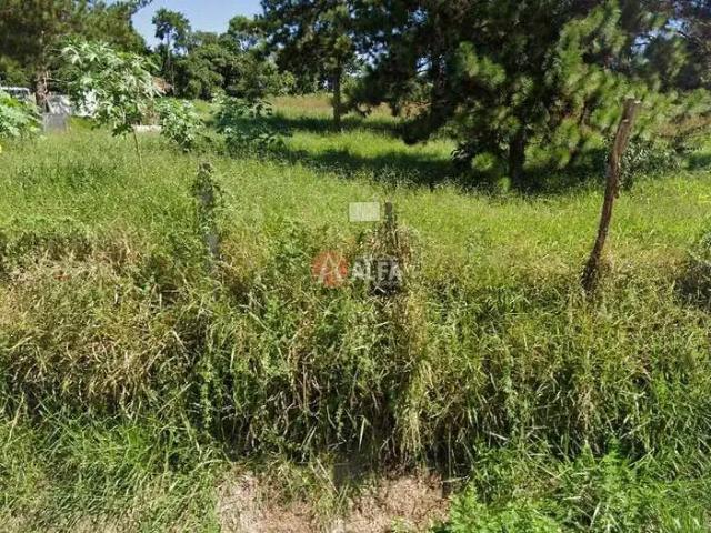 Terreno comercial para Locação em Cotia/SP Jardim Sabiá