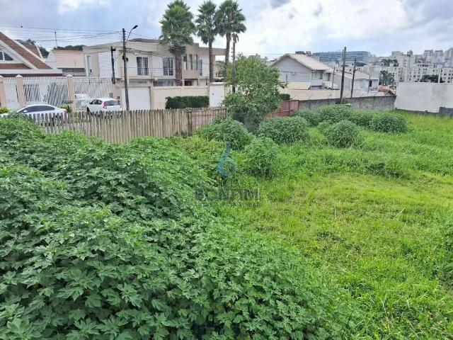 Terreno comercial para Locação em Curitiba/PR Novo Mundo