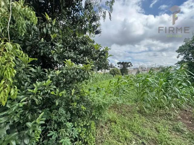 Terreno comercial para Locação em Curitiba/PR Alto Boqueirão