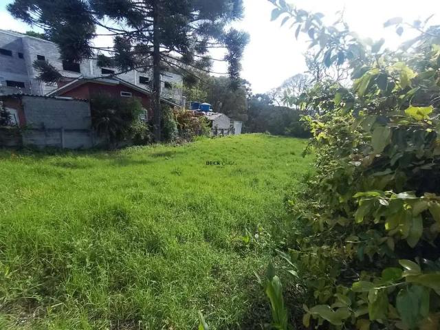 Terreno comercial para Locação em Curitiba/PR Bigorrilho