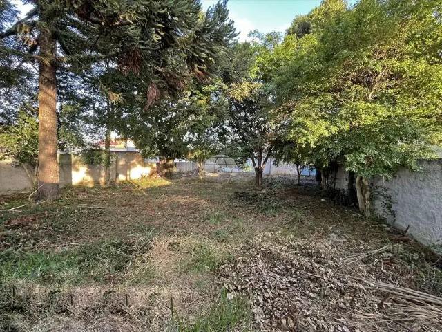 Terreno comercial para Locação em Curitiba/PR Fazendinha