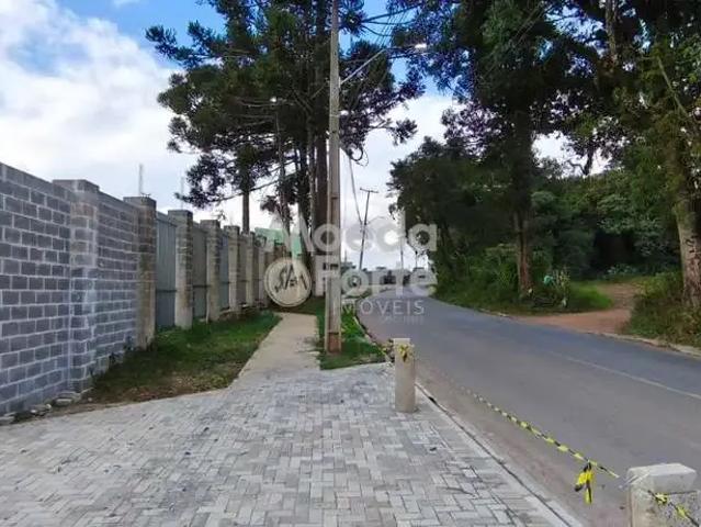 Terreno comercial para Locação em Curitiba/PR Ganchinho