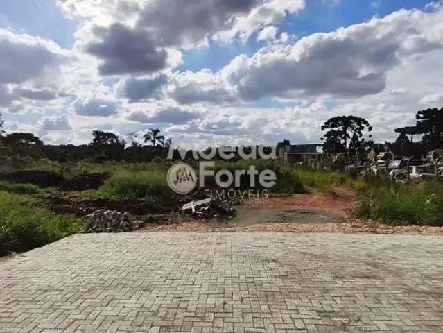 Terreno comercial para Locação em Curitiba/PR Ganchinho