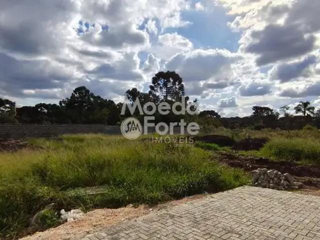 Terreno comercial para Locação em Curitiba/PR Ganchinho