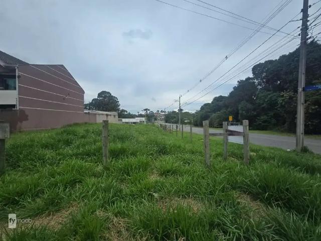 Terreno comercial para Locação em Curitiba/PR Ganchinho