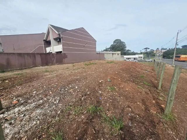 Terreno comercial para Locação em Curitiba/PR Ganchinho