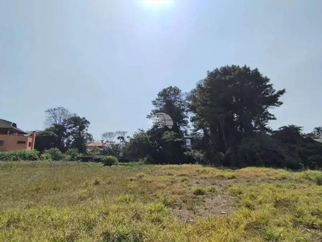 Terreno comercial para Locação em Curitiba/PR Jardim Social