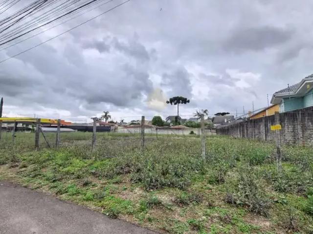 Terreno comercial para Locação em Curitiba/PR Santa Felicidade