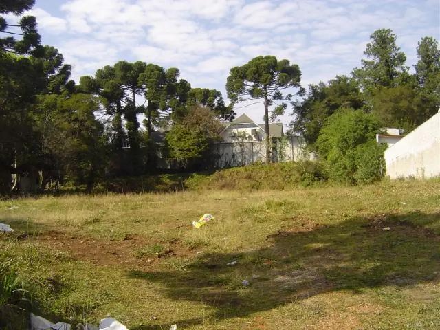 Terreno comercial para Locação em Curitiba/PR Santa Felicidade