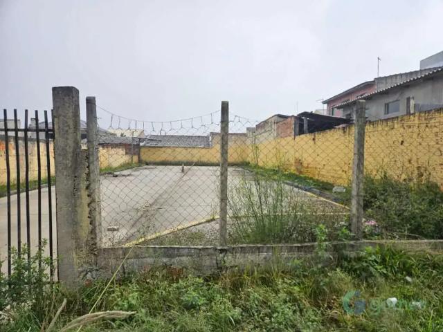 Terreno comercial para Locação em Curitiba/PR Tatuquara