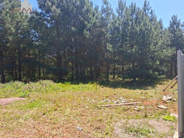 Terreno comercial para Locação em Curitiba/PR Umbará