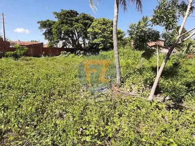 Terreno comercial para Locação em Eusébio/CE Mangabeira