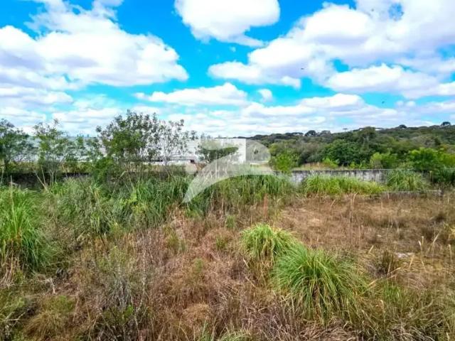 Terreno comercial para Locação em Fazenda Rio Grande/PR Estados