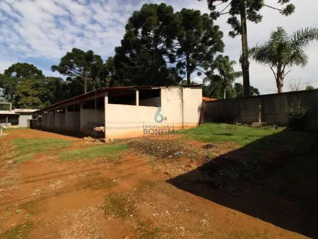 Terreno comercial para Locação em Fazenda Rio Grande/PR Eucaliptos