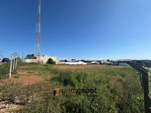 Terreno comercial para Locação em Fazenda Rio Grande/PR Gralha Azul