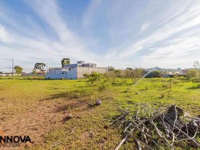 Terreno comercial para Locação em Fazenda Rio Grande/PR Santa Terezinha 1 Quartos