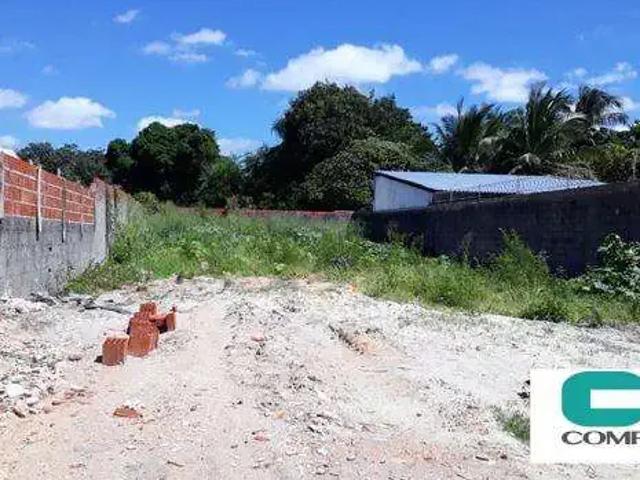 Terreno comercial para Locação em Fortaleza/CE Sapiranga