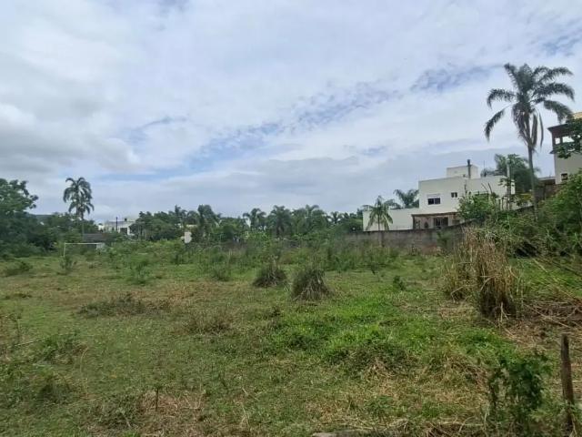 Terreno comercial para Locação em Florianópolis/SC Cacupé