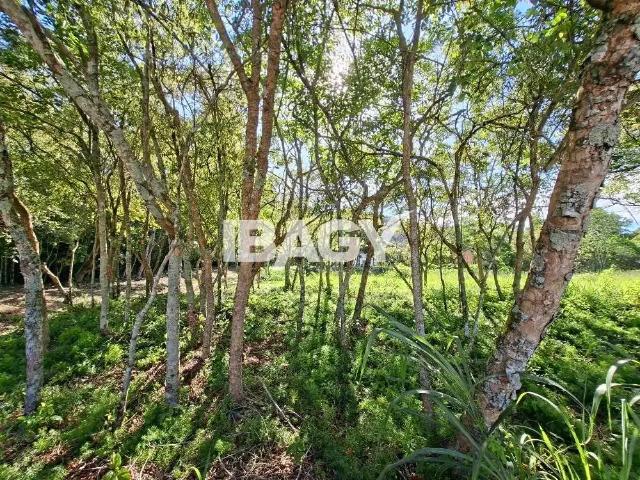Terreno comercial para Locação em Florianópolis/SC Campeche