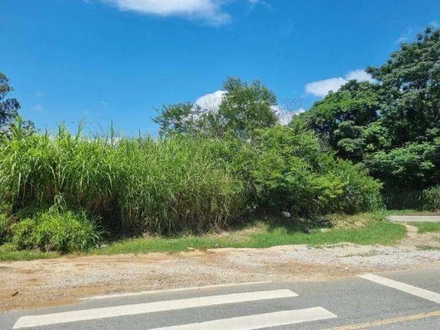 Terreno comercial para Locação em Florianópolis/SC Agronômica