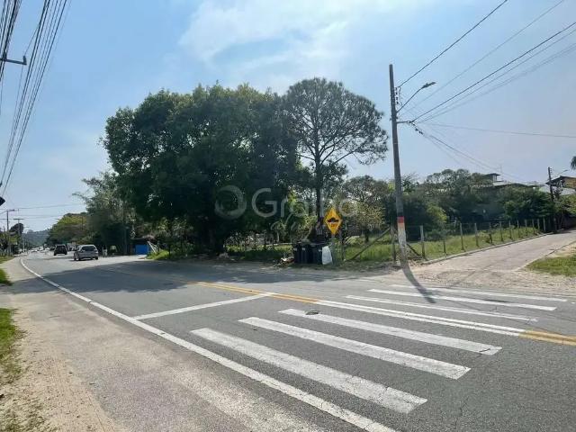 Terreno comercial para Locação em Florianópolis/SC Armação